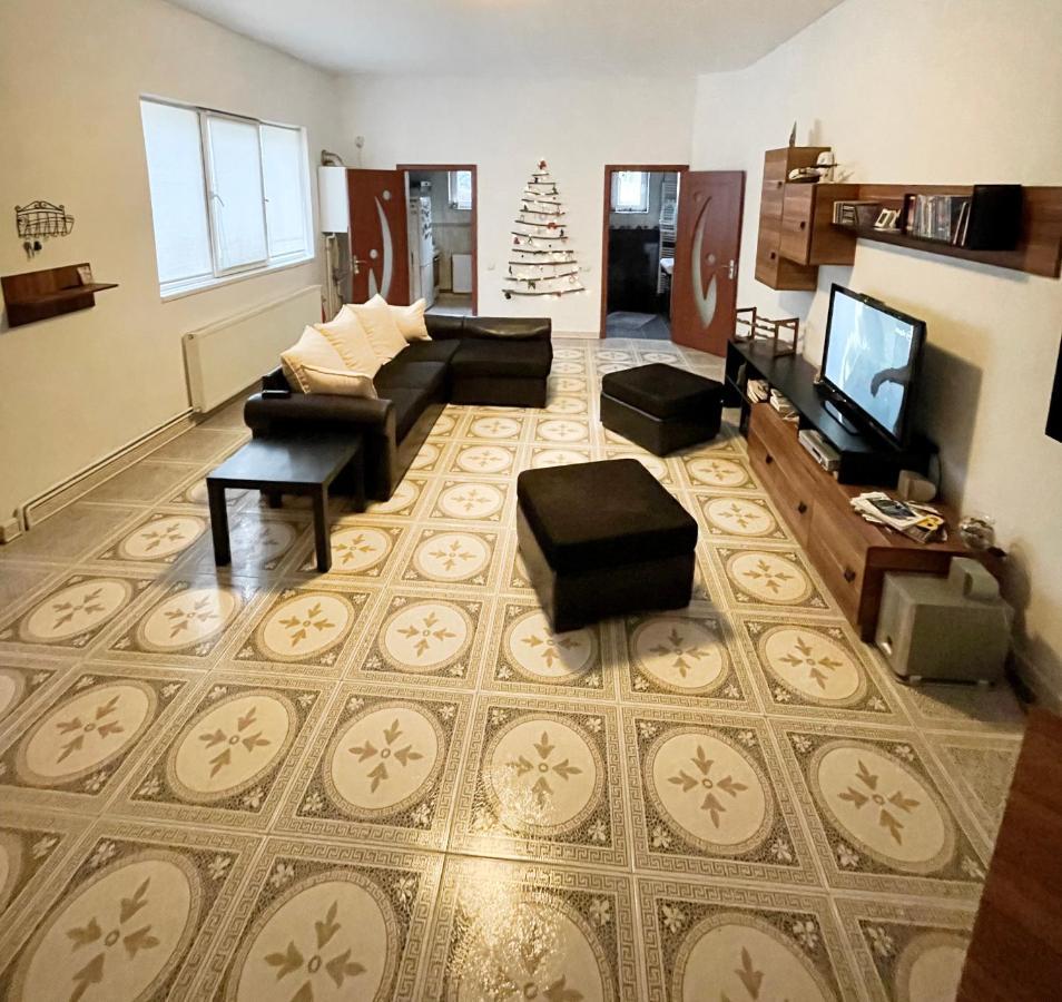 Mosaico Alfetta Hostel تيميشورا المظهر الخارجي الصورة