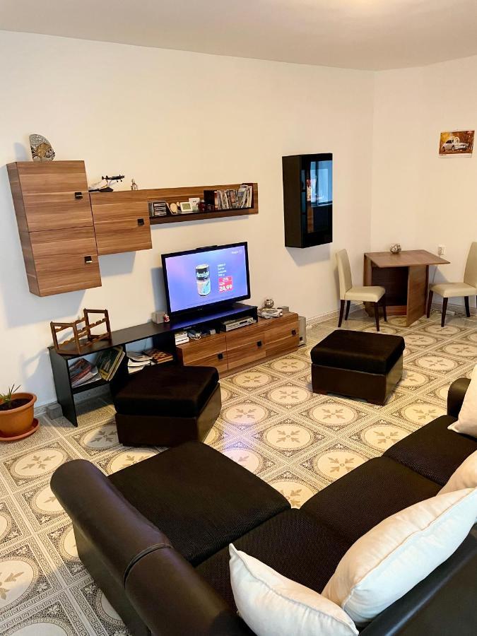 Mosaico Alfetta Hostel تيميشورا المظهر الخارجي الصورة