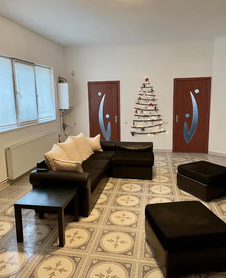 Mosaico Alfetta Hostel تيميشورا المظهر الخارجي الصورة