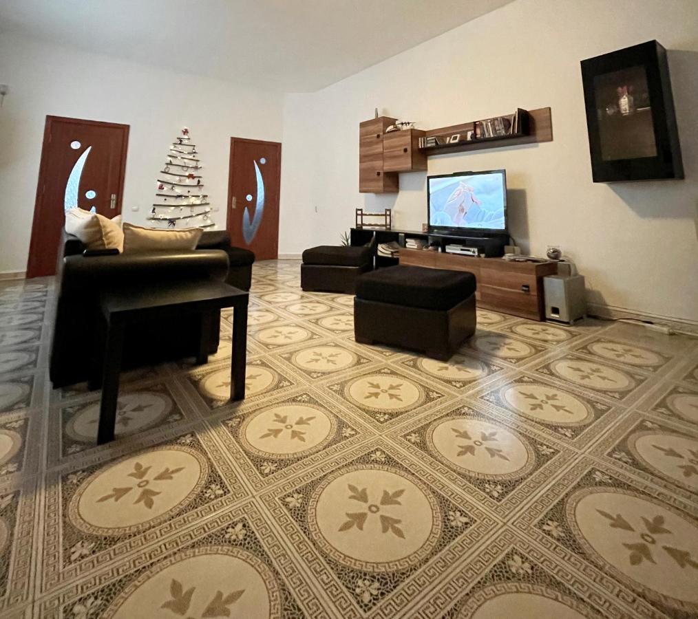 Mosaico Alfetta Hostel تيميشورا المظهر الخارجي الصورة