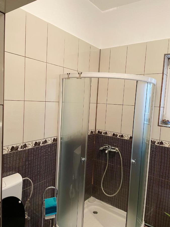 Mosaico Alfetta Hostel تيميشورا المظهر الخارجي الصورة