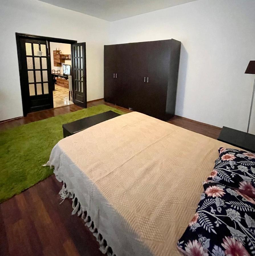 Mosaico Alfetta Hostel تيميشورا المظهر الخارجي الصورة
