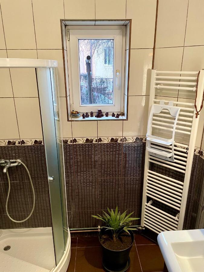 Mosaico Alfetta Hostel تيميشورا المظهر الخارجي الصورة