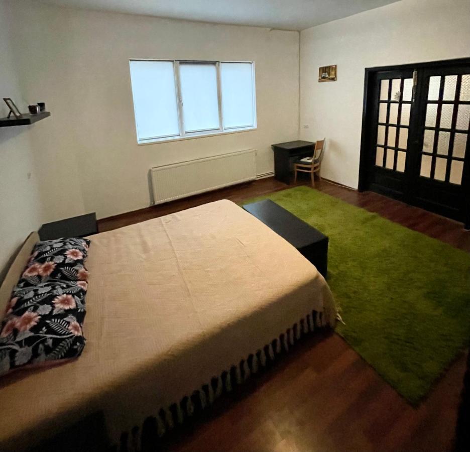 Mosaico Alfetta Hostel تيميشورا المظهر الخارجي الصورة
