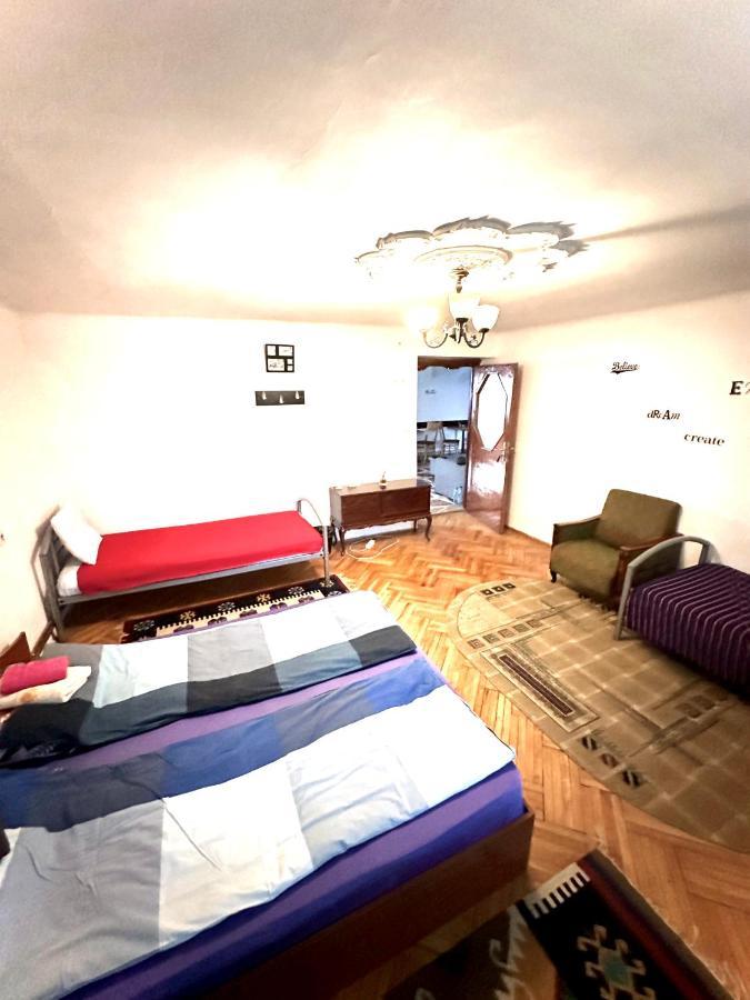 Mosaico Alfetta Hostel تيميشورا المظهر الخارجي الصورة