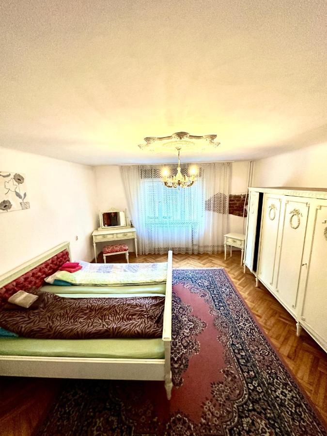 Mosaico Alfetta Hostel تيميشورا المظهر الخارجي الصورة