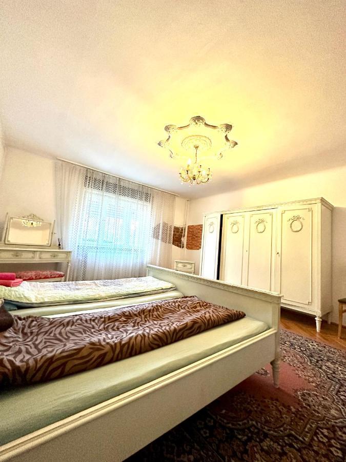 Mosaico Alfetta Hostel تيميشورا المظهر الخارجي الصورة