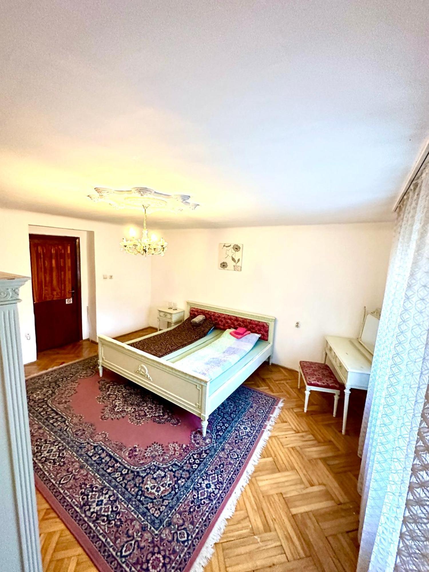 Mosaico Alfetta Hostel تيميشورا المظهر الخارجي الصورة