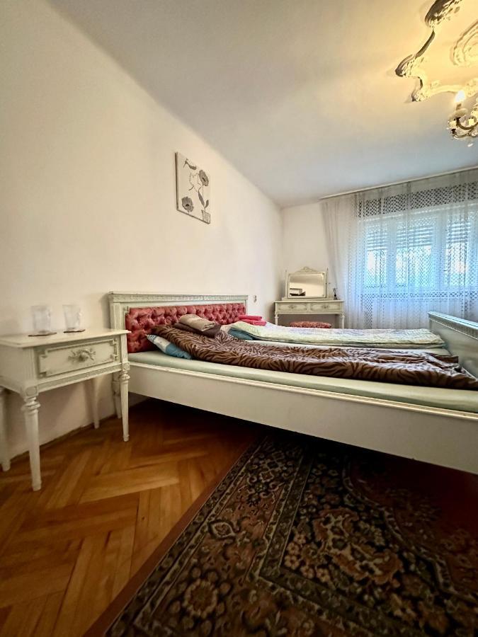 Mosaico Alfetta Hostel تيميشورا المظهر الخارجي الصورة