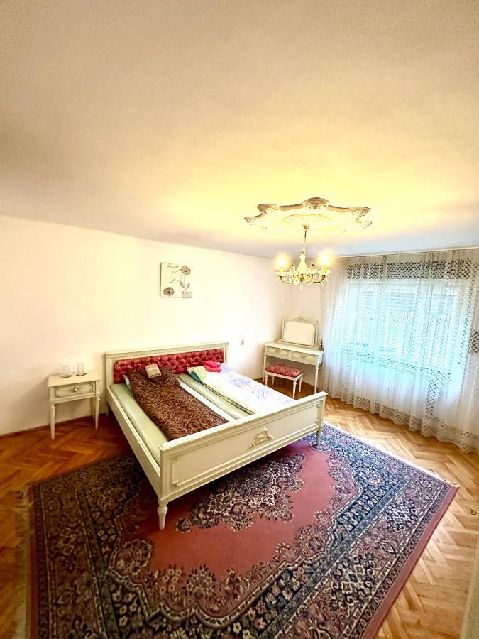 Mosaico Alfetta Hostel تيميشورا المظهر الخارجي الصورة