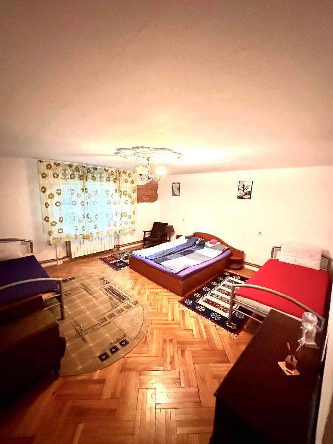 Mosaico Alfetta Hostel تيميشورا المظهر الخارجي الصورة