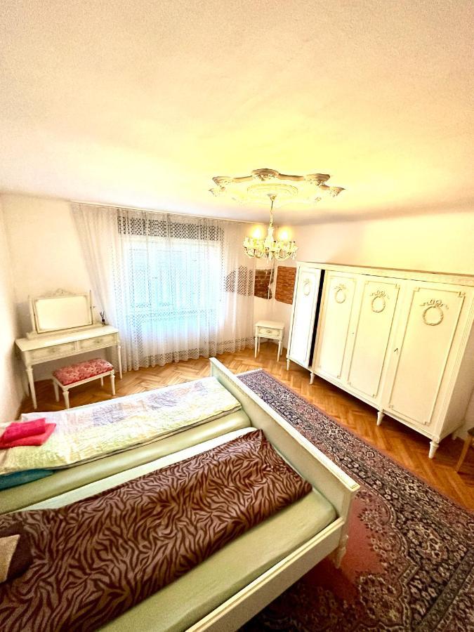 Mosaico Alfetta Hostel تيميشورا المظهر الخارجي الصورة