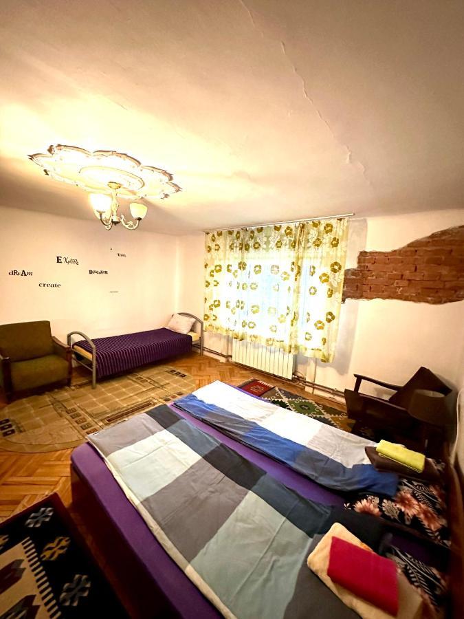 Mosaico Alfetta Hostel تيميشورا المظهر الخارجي الصورة