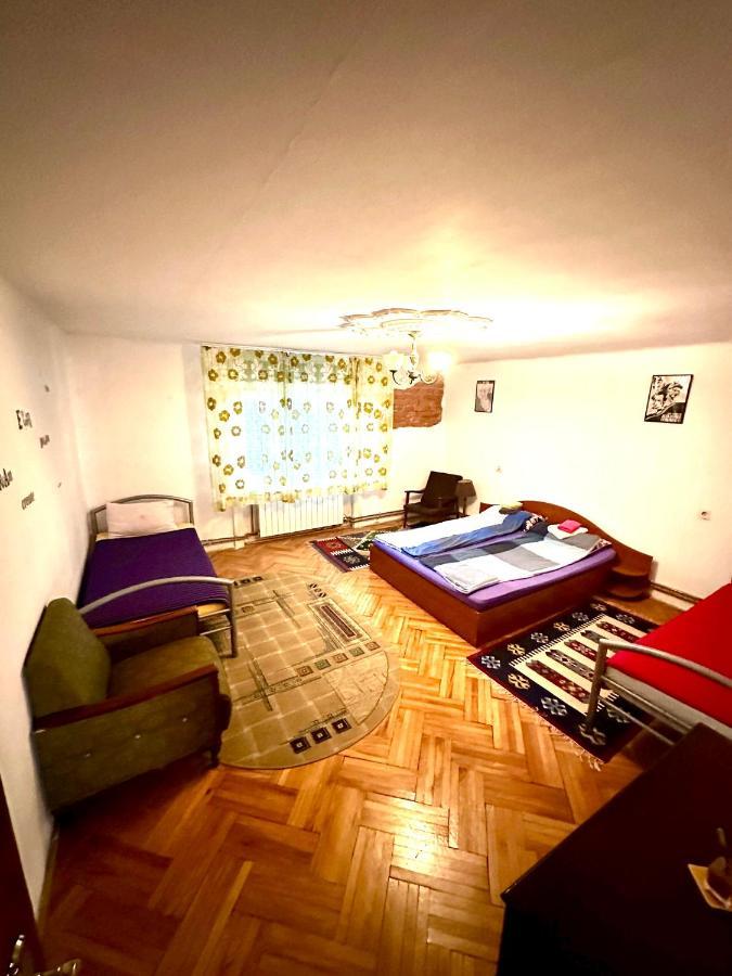 Mosaico Alfetta Hostel تيميشورا المظهر الخارجي الصورة