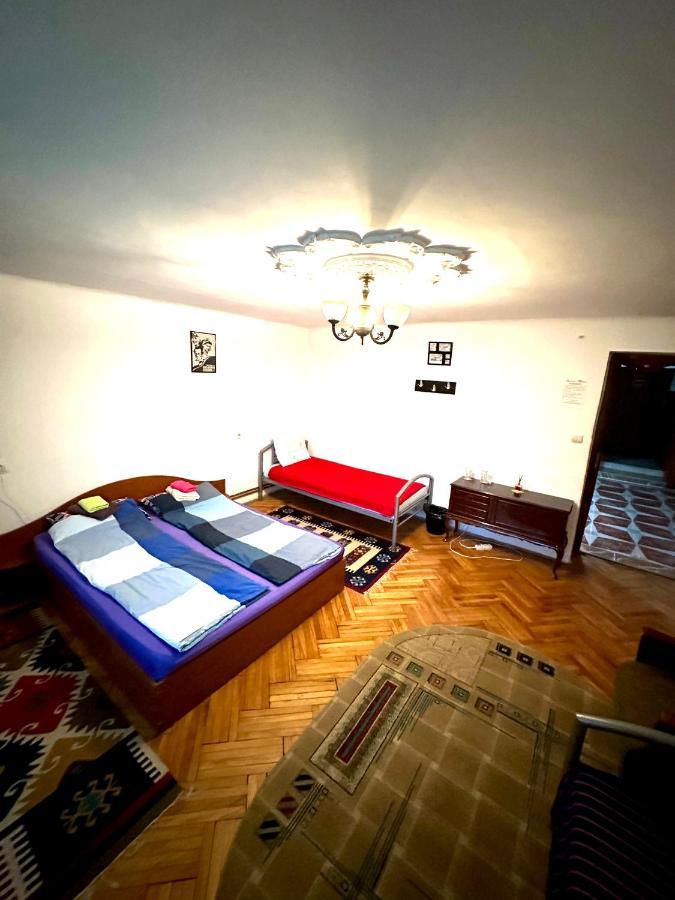 Mosaico Alfetta Hostel تيميشورا المظهر الخارجي الصورة