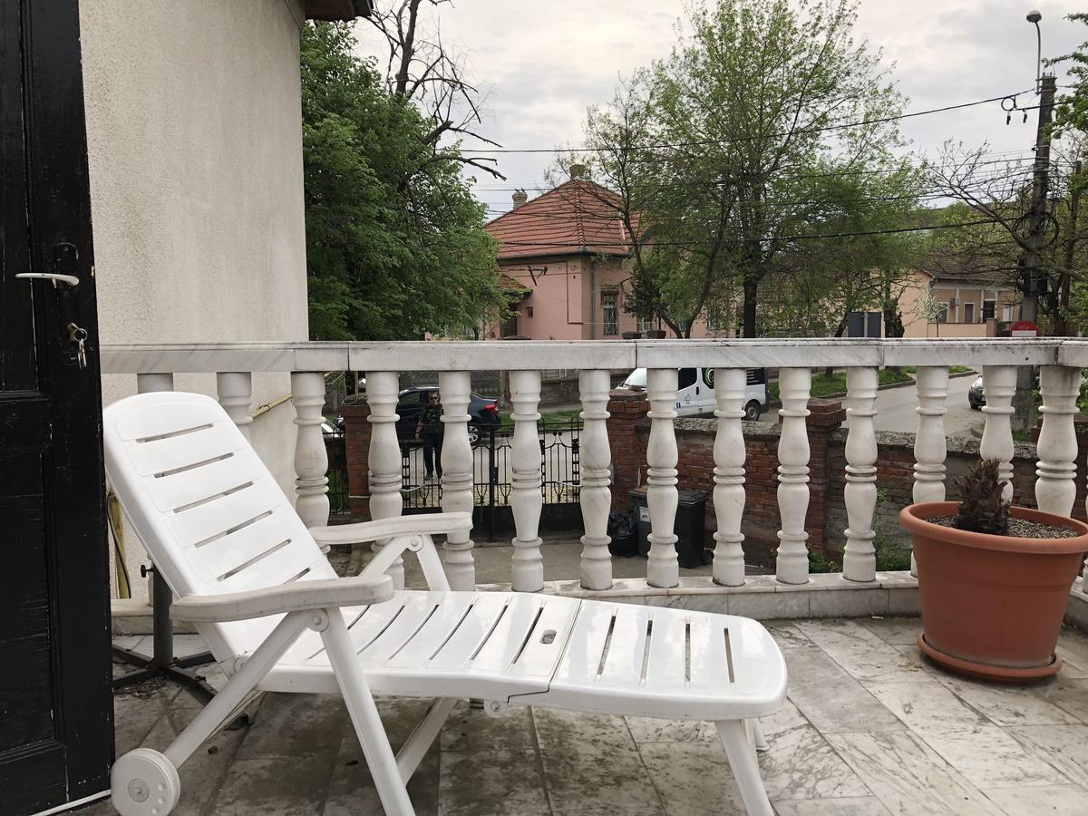 Mosaico Alfetta Hostel تيميشورا المظهر الخارجي الصورة
