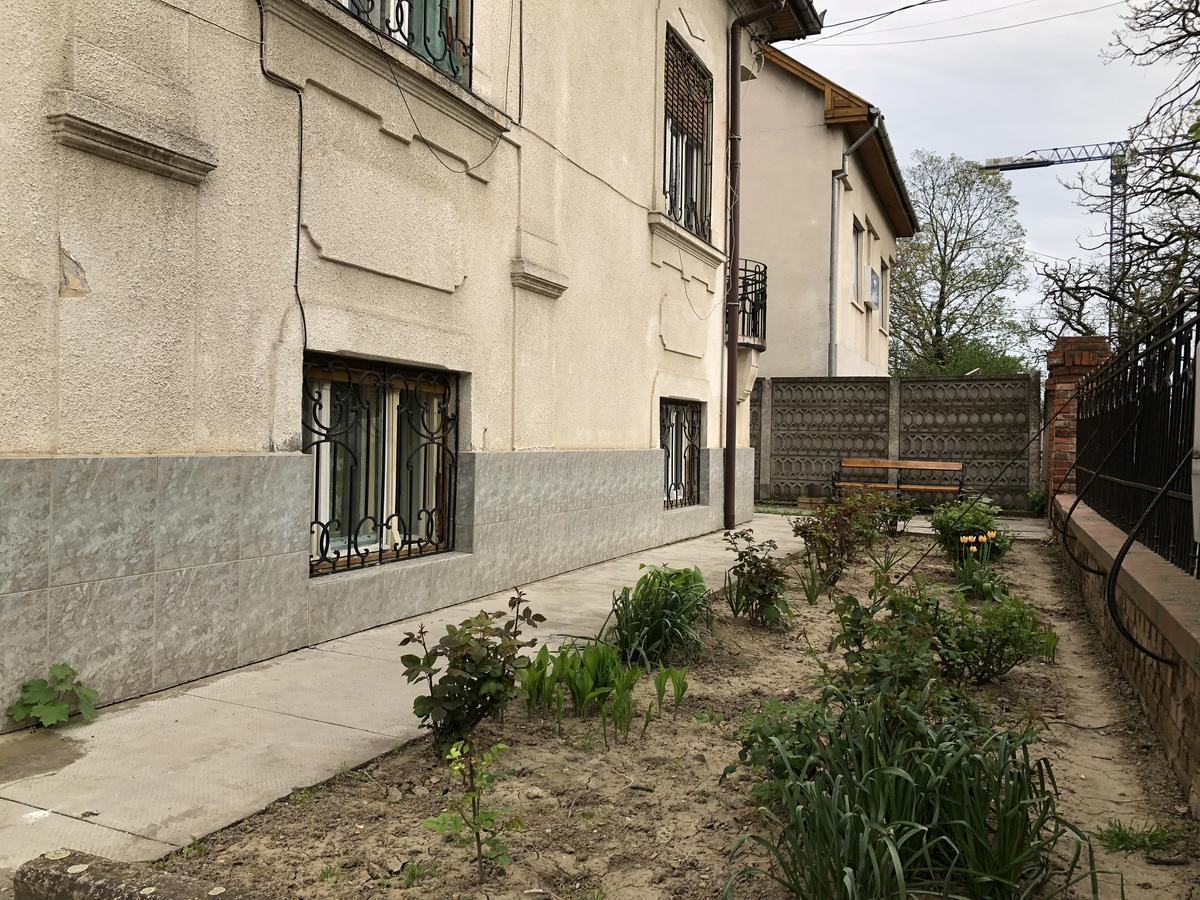Mosaico Alfetta Hostel تيميشورا المظهر الخارجي الصورة