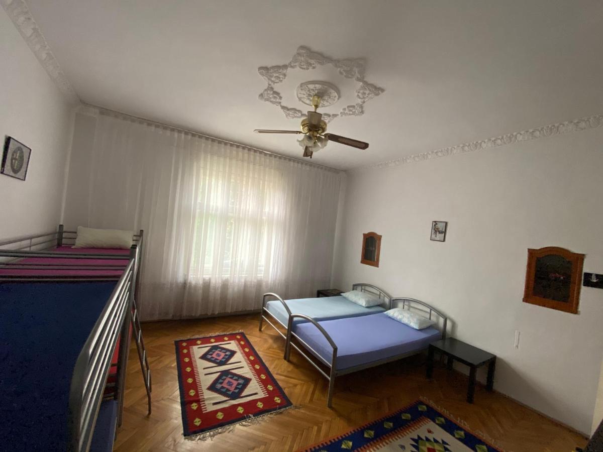 Mosaico Alfetta Hostel تيميشورا المظهر الخارجي الصورة